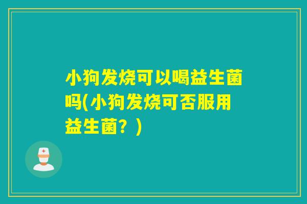 小狗发烧可以喝益生菌吗(小狗发烧可否服用益生菌？)