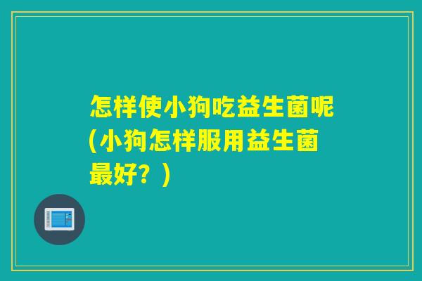 怎样使小狗吃益生菌呢(小狗怎样服用益生菌好？)