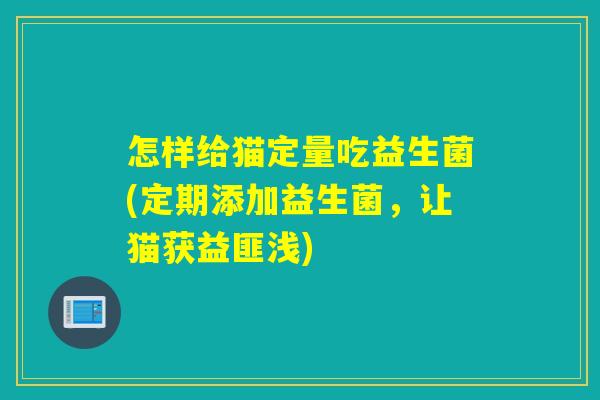 怎样给猫定量吃益生菌(定期添加益生菌，让猫获益匪浅)