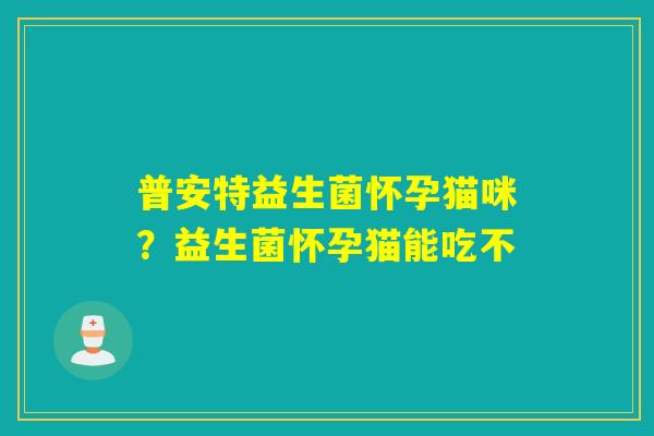 普安特益生菌怀孕猫咪？益生菌怀孕猫能吃不