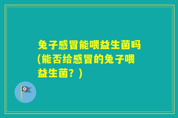兔子能喂益生菌吗(能否给的兔子喂益生菌？)