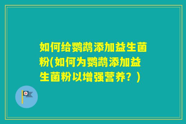 如何给鹦鹉添加益生菌粉(如何为鹦鹉添加益生菌粉以增强营养?) 如何给鹦鹉添加益生菌粉(如何为鹦鹉添加益生菌粉以增强营养?)