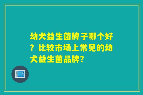 幼犬益生菌牌子哪个好？比较市场上常见的幼犬益生菌品牌？
