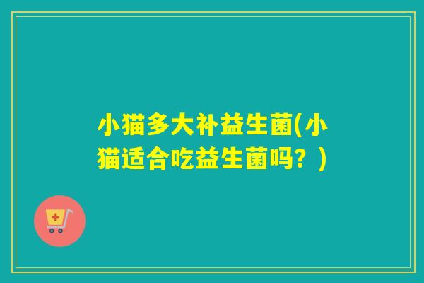 小猫多大补益生菌(小猫适合吃益生菌吗？)