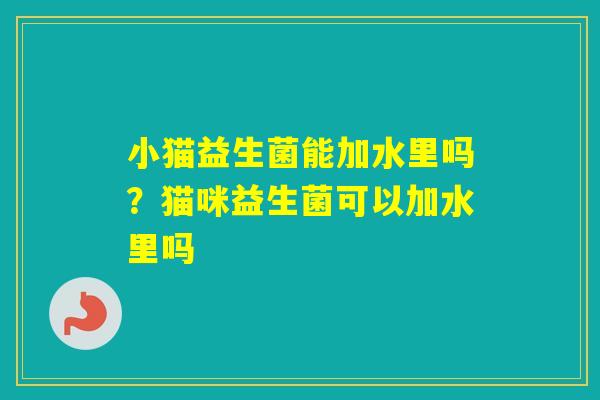 小猫益生菌能加水里吗？猫咪益生菌可以加水里吗