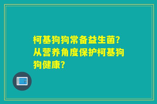 柯基狗狗常备益生菌？从营养角度保护柯基狗狗健康？