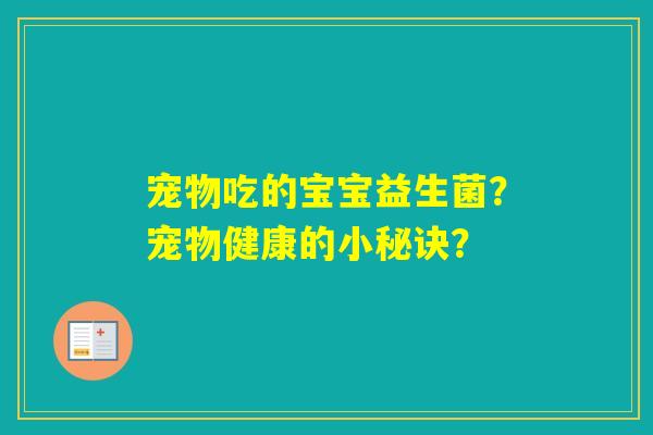 宠物吃的宝宝益生菌？宠物健康的小秘诀？