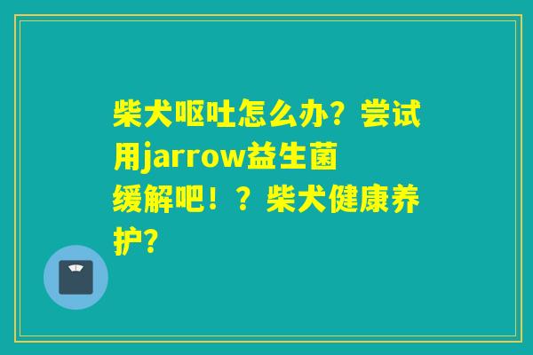 柴犬怎么办?尝试用jarrow益生菌缓解吧!?柴犬健康养护? 柴犬怎么办?尝试用jarrow益生菌缓解吧!?柴犬健康养护?