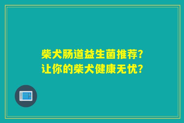 柴犬肠道益生菌推荐？让你的柴犬健康无忧？