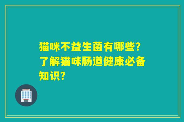 猫咪不益生菌有哪些？了解猫咪肠道健康必备知识？