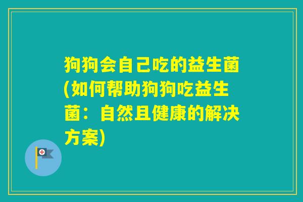 狗狗会自己吃的益生菌(如何帮助狗狗吃益生菌:自然且健康的解决方案) 狗狗会自己吃的益生菌(如何帮助狗狗吃益生菌:自然且健康的解决方案)