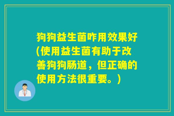 狗狗益生菌咋用效果好(使用益生菌有助于改善狗狗肠道，但正确的使用方法很重要。)