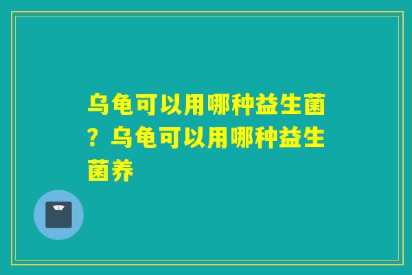 乌龟可以用哪种益生菌？乌龟可以用哪种益生菌养