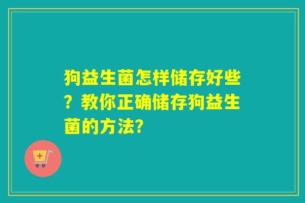 狗益生菌怎样储存好些？教你正确储存狗益生菌的方法？