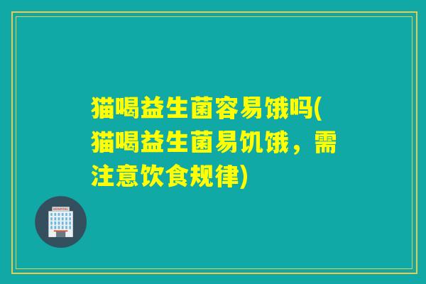 猫喝益生菌容易饿吗(猫喝益生菌易饥饿，需注意饮食规律)