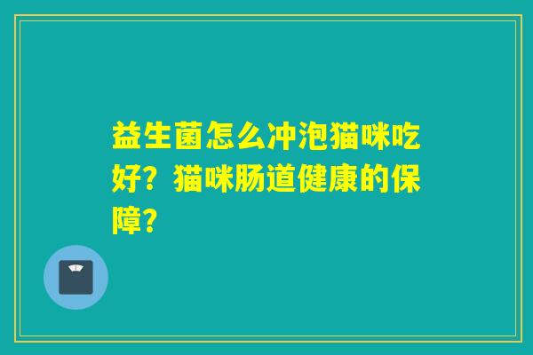 益生菌怎么冲泡猫咪吃好？猫咪肠道健康的保障？