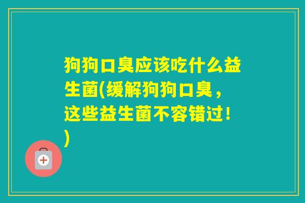狗狗应该吃什么益生菌(缓解狗狗，这些益生菌不容错过！)