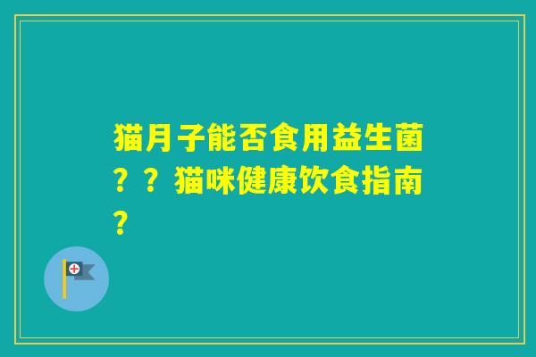 猫月子能否食用益生菌？？猫咪健康饮食指南？