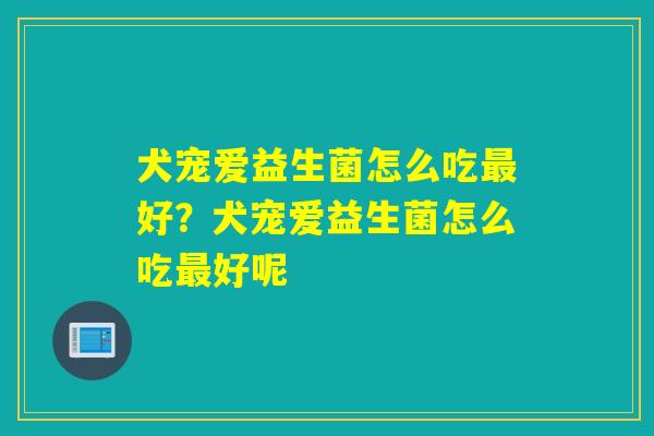 犬宠爱益生菌怎么吃好？犬宠爱益生菌怎么吃好呢