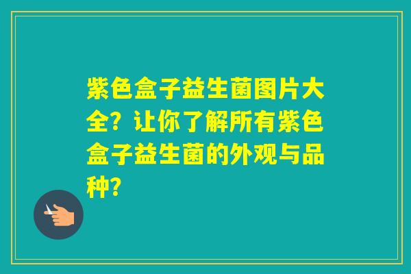 紫色盒子益生菌图片大全？让你了解所有紫色盒子益生菌的外观与品种？