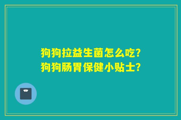 狗狗拉益生菌怎么吃？狗狗肠胃保健小贴士？