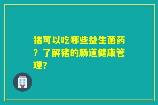 猪可以吃哪些益生菌药？了解猪的肠道健康管理？