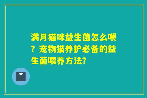 满月猫咪益生菌怎么喂？宠物猫养护必备的益生菌喂养方法？