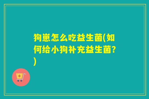 狗崽怎么吃益生菌(如何给小狗补充益生菌？)