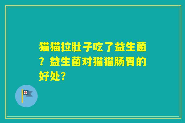 猫猫拉肚子吃了益生菌？益生菌对猫猫肠胃的好处？