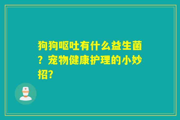 狗狗有什么益生菌？宠物健康护理的小妙招？