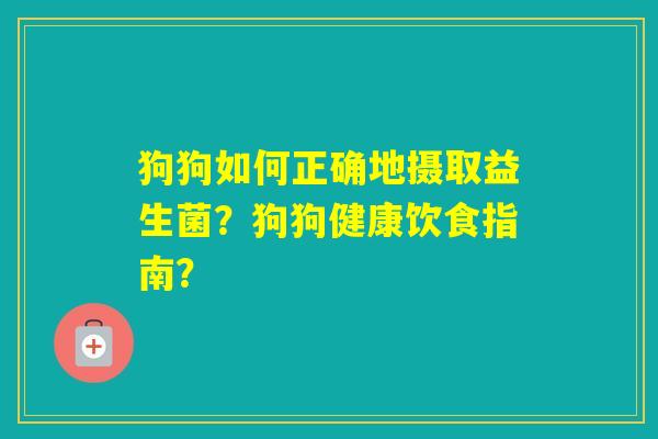 狗狗如何正确地摄取益生菌？狗狗健康饮食指南？