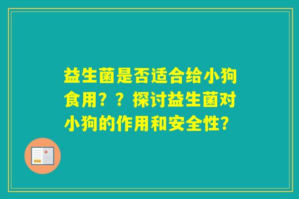 益生菌是否适合给小狗食用？？探讨益生菌对小狗的作用和安全性？