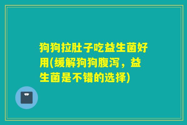 狗狗拉肚子吃益生菌好用(缓解狗狗,益生菌是不错的选择) 狗狗拉肚子吃益生菌好用(缓解狗狗,益生菌是不错的选择)