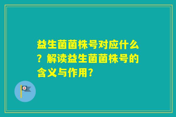 益生菌菌株号对应什么？解读益生菌菌株号的含义与作用？