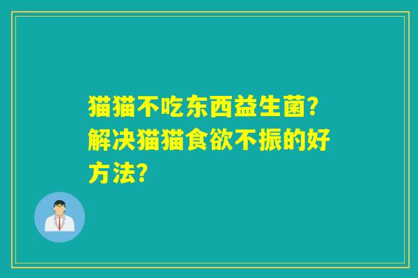 猫猫不吃东西益生菌？解决猫猫不振的好方法？