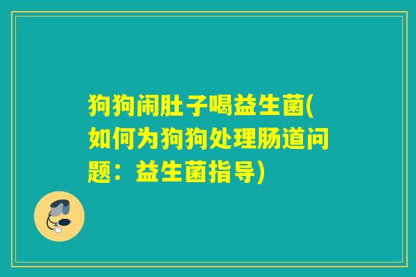 狗狗闹肚子喝益生菌(如何为狗狗处理肠道问题：益生菌指导)