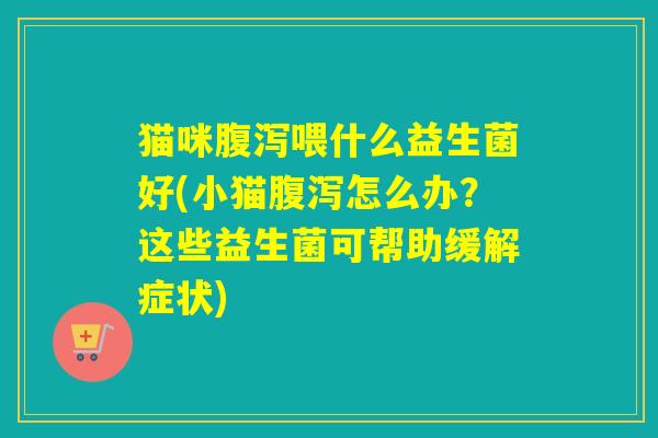 猫咪喂什么益生菌好(小猫怎么办？这些益生菌可帮助缓解症状)