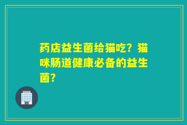 药店益生菌给猫吃？猫咪肠道健康必备的益生菌？