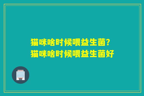 猫咪啥时候喂益生菌？猫咪啥时候喂益生菌好