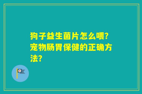 狗子益生菌片怎么喂？宠物肠胃保健的正确方法？