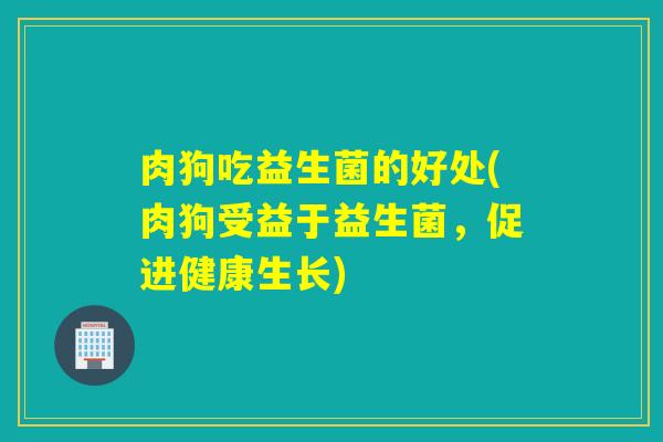 肉狗吃益生菌的好处(肉狗受益于益生菌，促进健康生长)