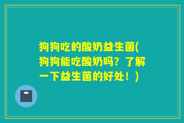 狗狗吃的酸奶益生菌(狗狗能吃酸奶吗？了解一下益生菌的好处！)
