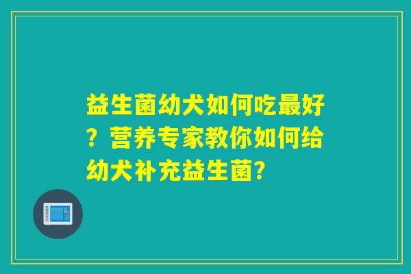 益生菌幼犬如何吃好？营养专家教你如何给幼犬补充益生菌？