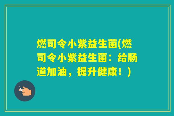 燃司令小紫益生菌(燃司令小紫益生菌：给肠道加油，提升健康！)