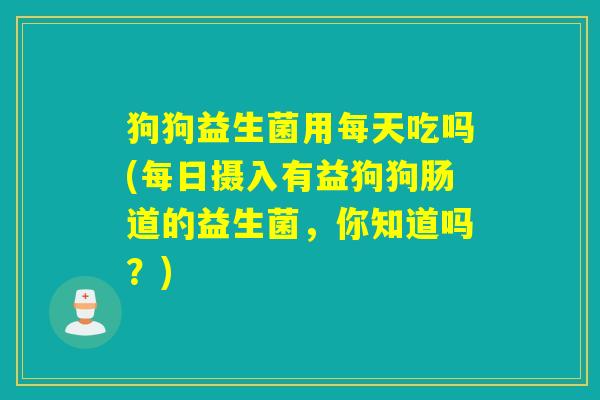 狗狗益生菌用每天吃吗(每日摄入有益狗狗肠道的益生菌，你知道吗？)