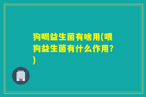 狗喝益生菌有啥用(喂狗益生菌有什么作用？)