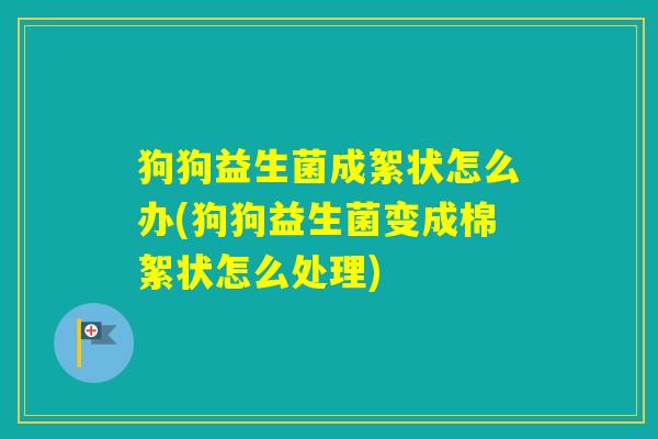 狗狗益生菌成絮状怎么办(狗狗益生菌变成棉絮状怎么处理)