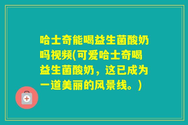 哈士奇能喝益生菌酸奶吗视频(可爱哈士奇喝益生菌酸奶，这已成为一道美丽的风景线。)