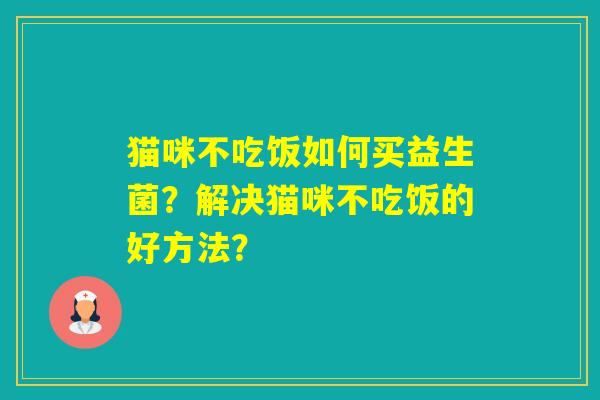 猫咪不吃饭如何买益生菌？解决猫咪不吃饭的好方法？