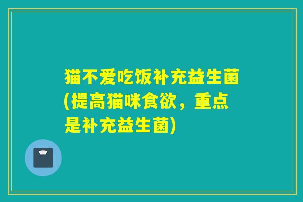 猫不爱吃饭补充益生菌(提高猫咪，重点是补充益生菌)
